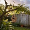 Cabane à oiseaux en bois flotté pour jardin | Texture réaliste | Résistante aux intempéries