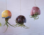 Jardinière suspendue méduse en céramique 7x32 cm pour tillandsia
