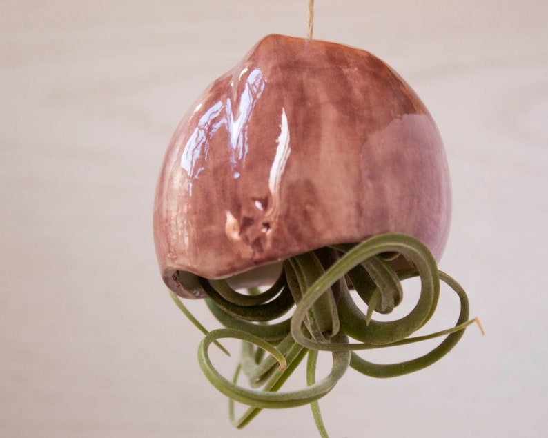 Jardinière suspendue méduse en céramique 7x32 cm pour tillandsia