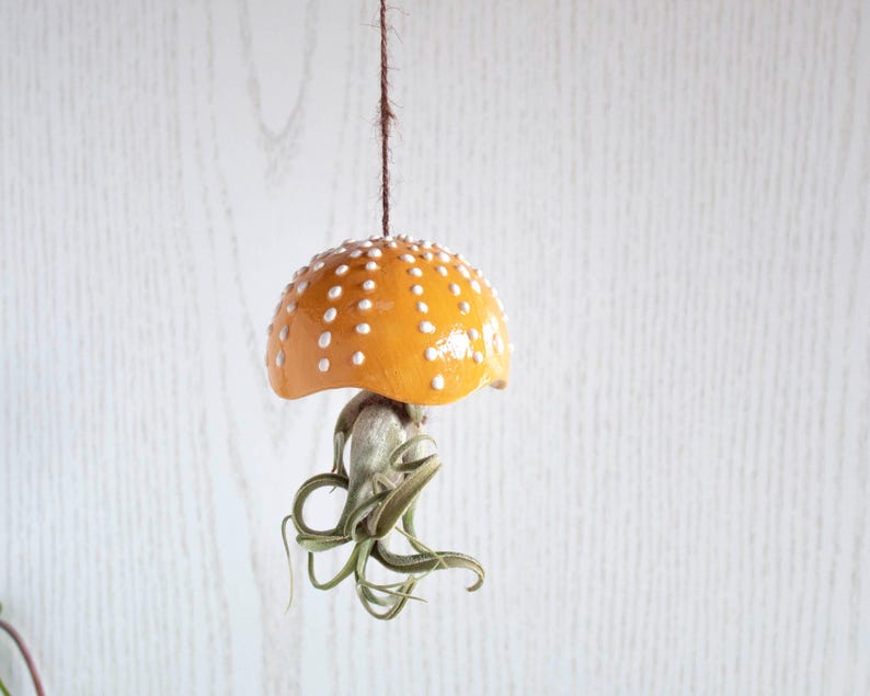 Porte-plante en céramique en forme de champignon, décoration suspendue pour tillandsia, 7 cm