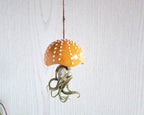 Porte-plante en céramique en forme de champignon, décoration suspendue pour tillandsia, 7 cm