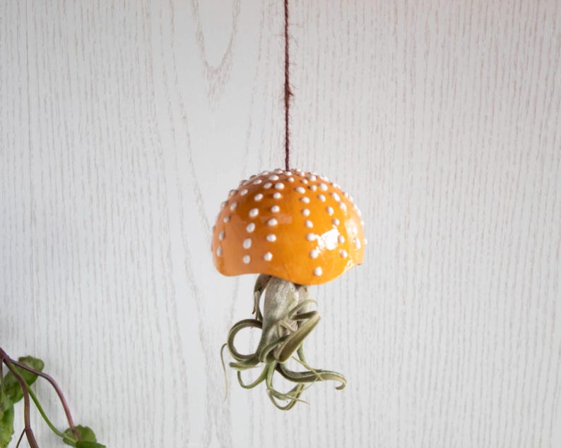 Porte-plante en céramique en forme de champignon, décoration suspendue pour tillandsia, 7 cm