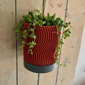 Pot mural auto-irrigué avec réservoir d'eau - Design minimaliste 120x90 mm