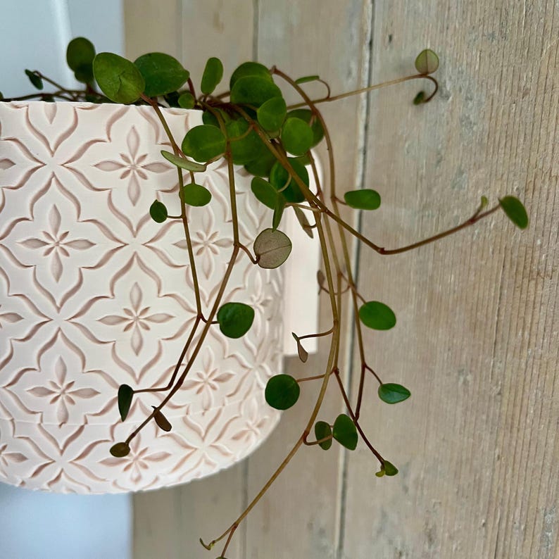 Cache-pot mural minimaliste 11 cm pour plantes grasses - Support de décoration intérieure en PLA