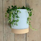 Jardinière murale moderne imprimée en 3D avec soucoupe, 120x90mm, en résine végétale, pour plantes succulentes