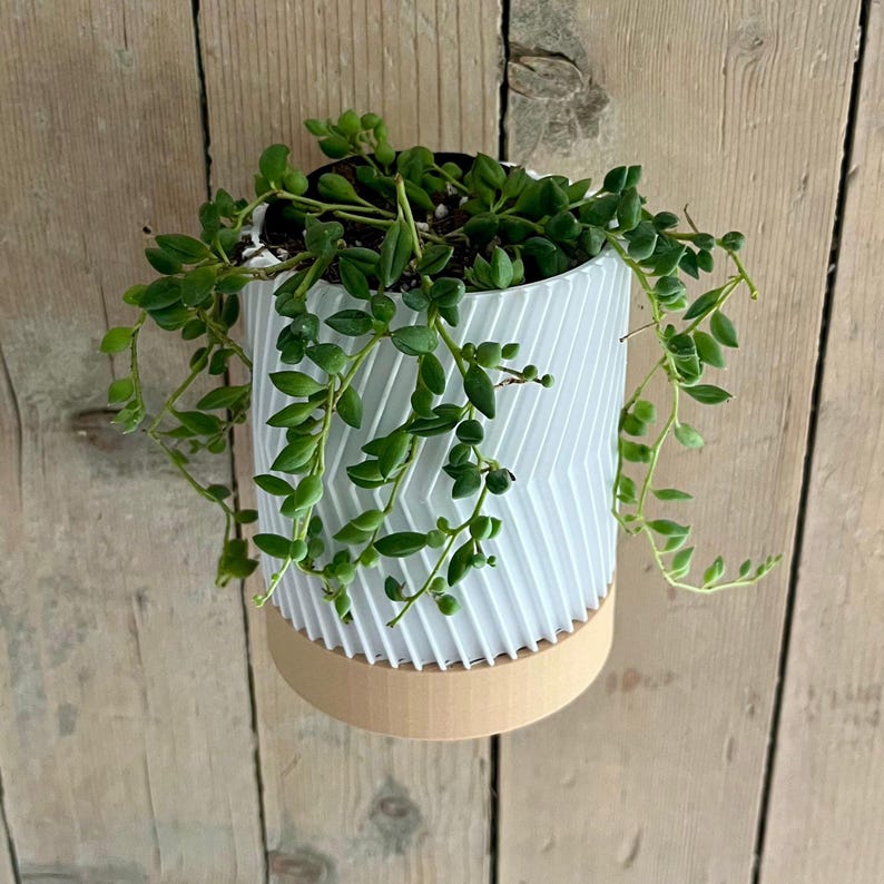 Jardinière murale moderne imprimée en 3D avec soucoupe, 120x90mm, en résine végétale, pour plantes succulentes