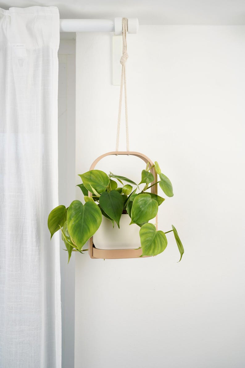 Jardinière suspendue d'intérieur minimaliste moderne avec cadre et soucoupe