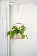Jardinière suspendue d'intérieur minimaliste moderne avec cadre et soucoupe
