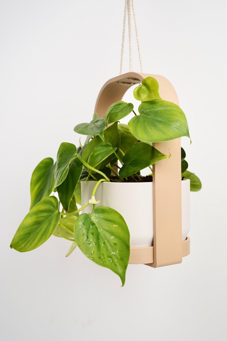 Jardinière suspendue d'intérieur minimaliste moderne avec cadre et soucoupe