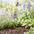 Piquet décoratif de jardin pluviomètre fourmi rouge sur feuille vert métal