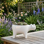 Pot de fleurs chat en céramique blanche, petit pot pour plantes d'intérieur à poser sur un bureau