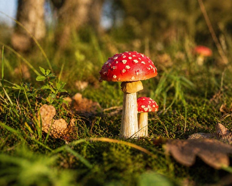 Champignon rouge décoration jardin, ornement en résine, hauteur 10 cm