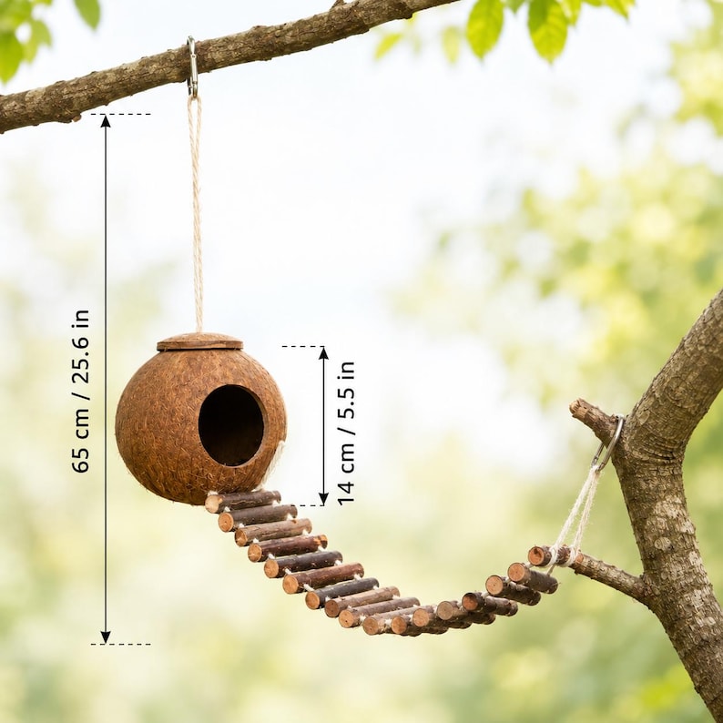 Cabane suspendue noix de coco avec pont en bois, mangeoire pour oiseaux de jardin naturel