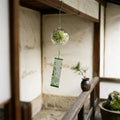 Carillon éolien en verre Furin, décoration intérieure apaisante
